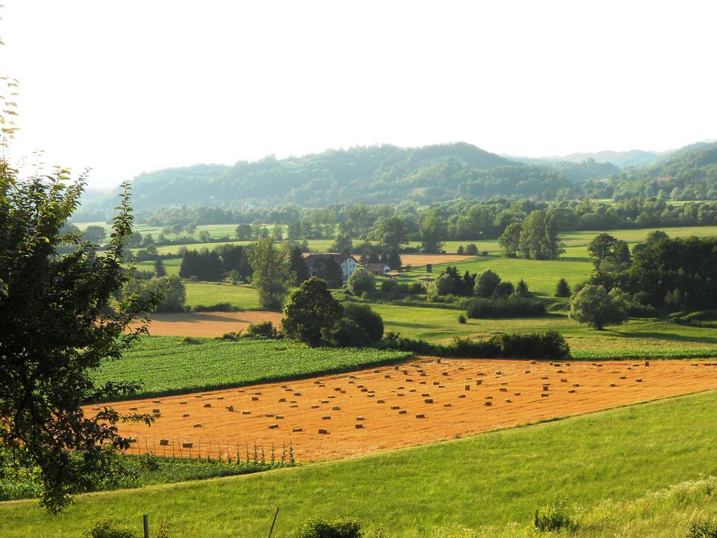 Farm Stay Kramer ビストリツァ・オプ・ソトリ エクステリア 写真